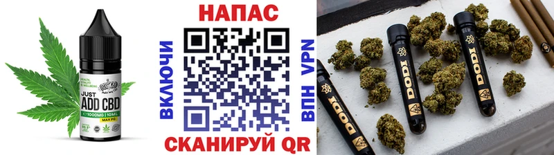 Canna-Cookies марихуана Орехово-Зуево
