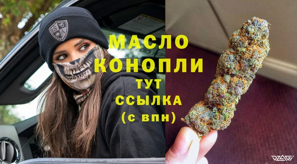 индика Вяземский